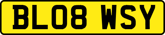 BL08WSY