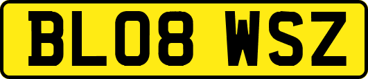 BL08WSZ