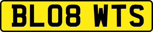 BL08WTS