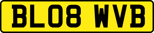 BL08WVB