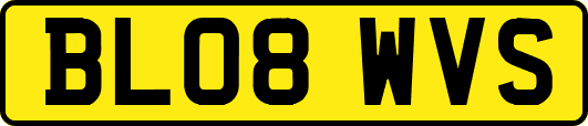 BL08WVS