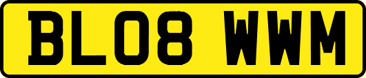 BL08WWM