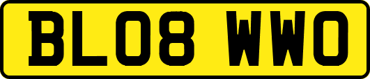 BL08WWO