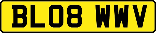 BL08WWV
