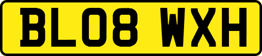 BL08WXH