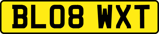 BL08WXT