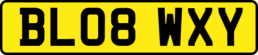 BL08WXY