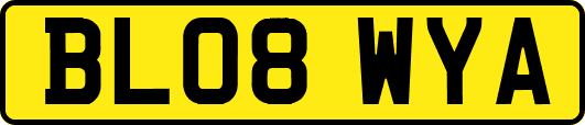 BL08WYA