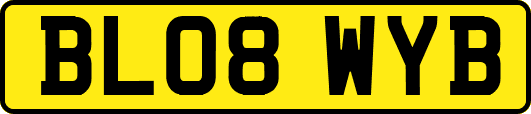 BL08WYB