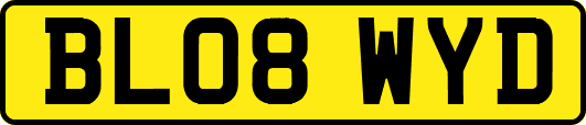 BL08WYD