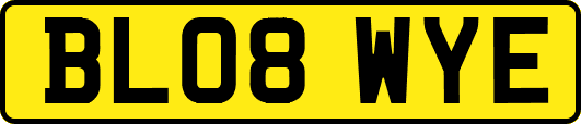BL08WYE