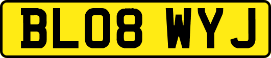 BL08WYJ