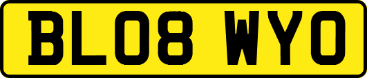 BL08WYO