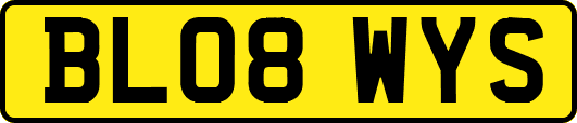 BL08WYS