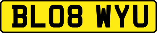 BL08WYU