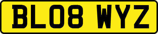 BL08WYZ