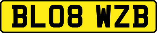 BL08WZB