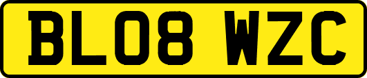 BL08WZC