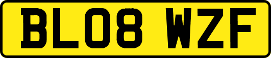BL08WZF