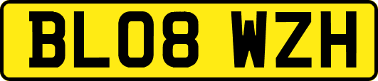 BL08WZH