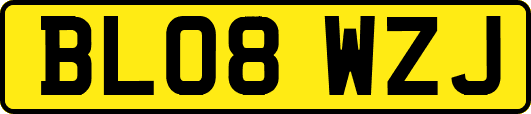 BL08WZJ