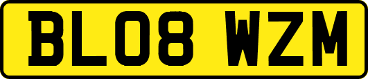 BL08WZM
