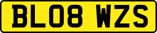 BL08WZS