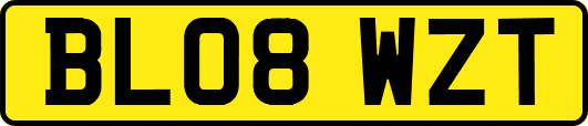BL08WZT