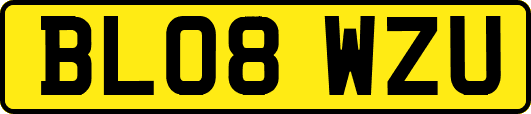 BL08WZU