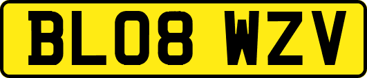 BL08WZV