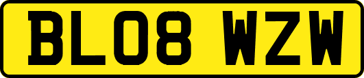 BL08WZW