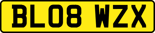 BL08WZX