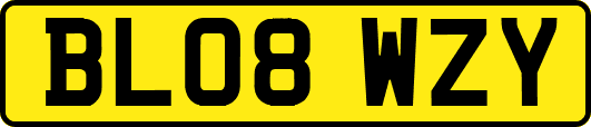 BL08WZY