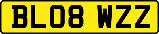 BL08WZZ
