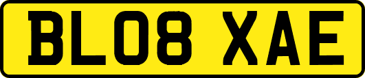 BL08XAE