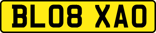 BL08XAO