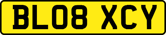 BL08XCY