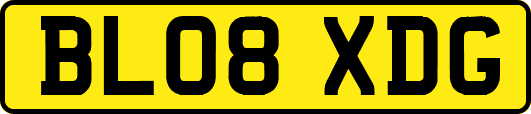 BL08XDG