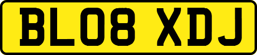BL08XDJ