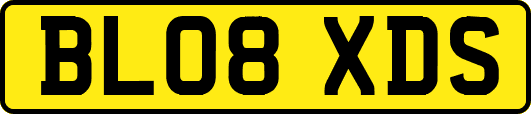 BL08XDS