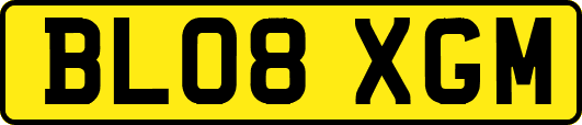 BL08XGM