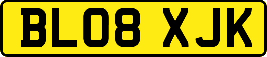 BL08XJK