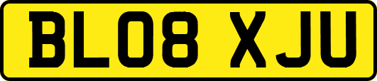 BL08XJU