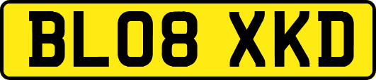 BL08XKD
