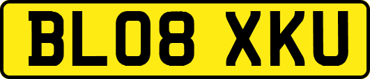 BL08XKU