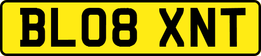 BL08XNT