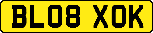 BL08XOK