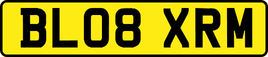 BL08XRM