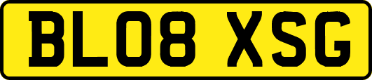 BL08XSG
