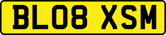 BL08XSM
